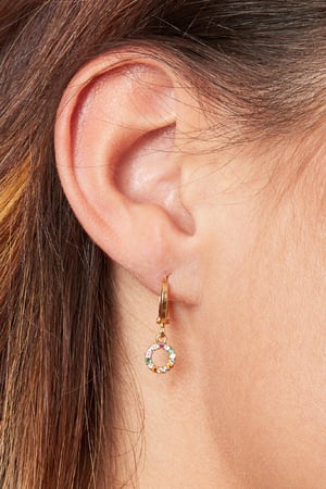 Oorbellen Sparkling Circle Zilver Koper h5 Afbeelding2